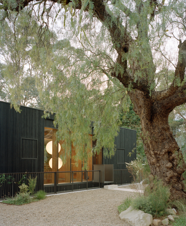 Cloaked House By Trias Issue 18 Feature The Local Project Image (27)