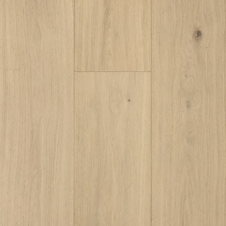 Forté Moda Capri Light Feature Plank Hero Image #1