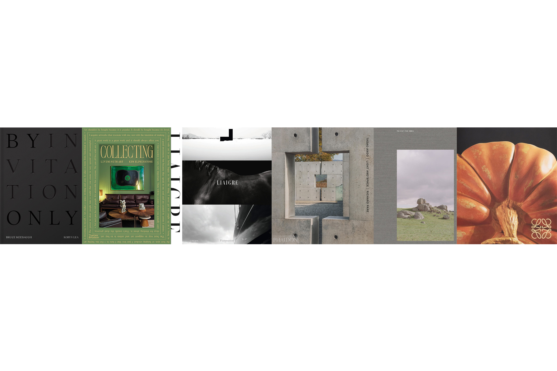 Books For The Library Issue 18 Feature The Local Project Image (2)