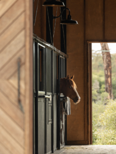 Georgetown Stables By Cadence & Co Issue 18 Feature The Local Project Image (30)