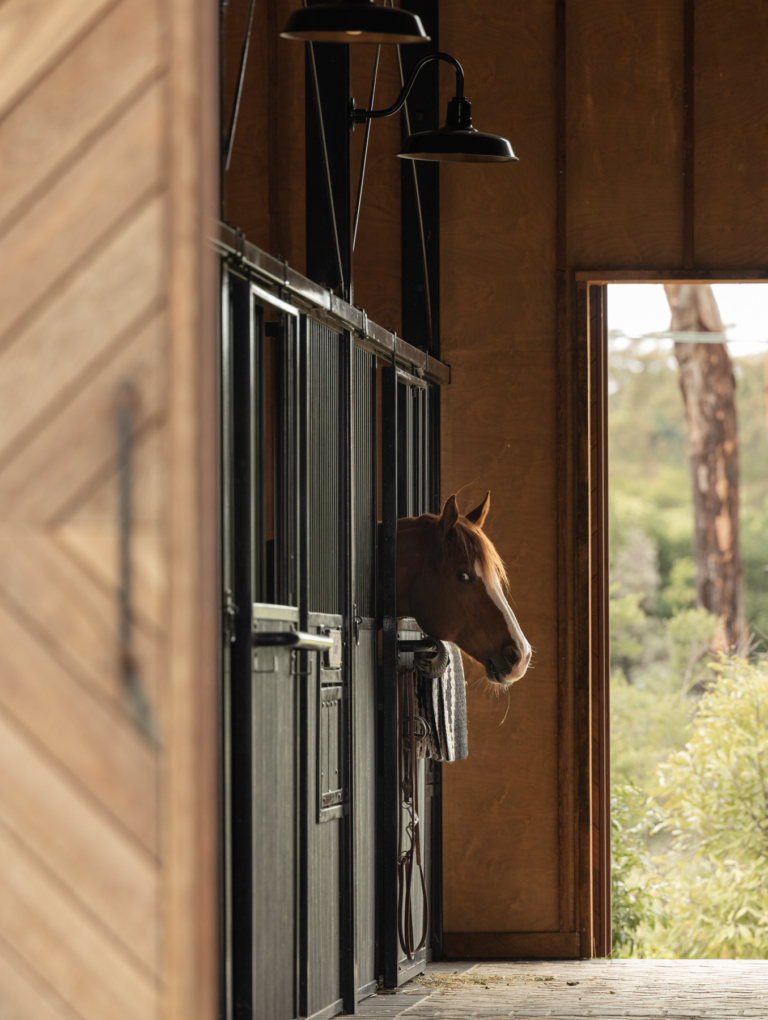 Georgetown Stables By Cadence & Co Issue 18 Feature The Local Project Image (30)