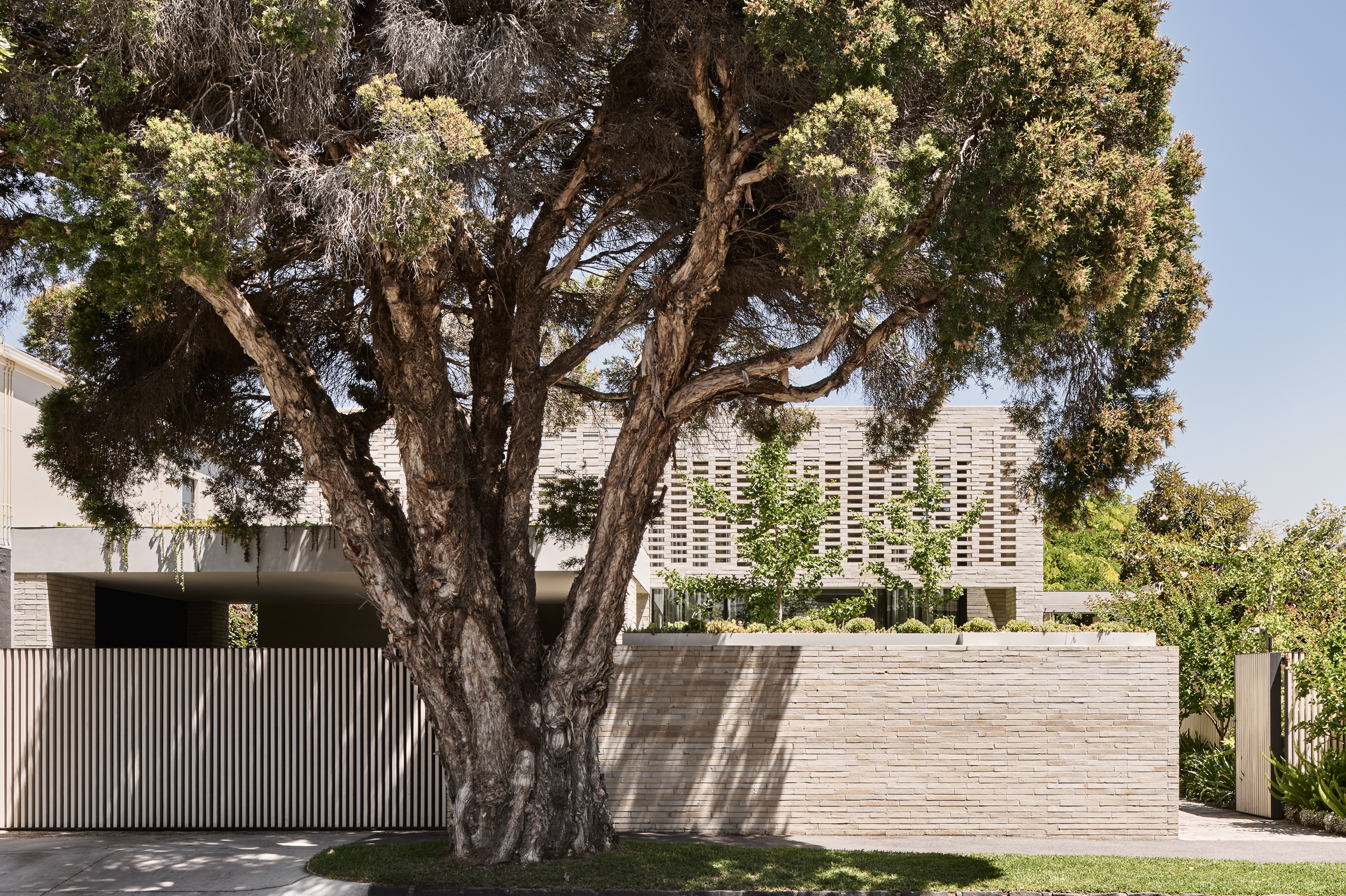 Elwood House By Neil Architecture The Local Project Image (14)