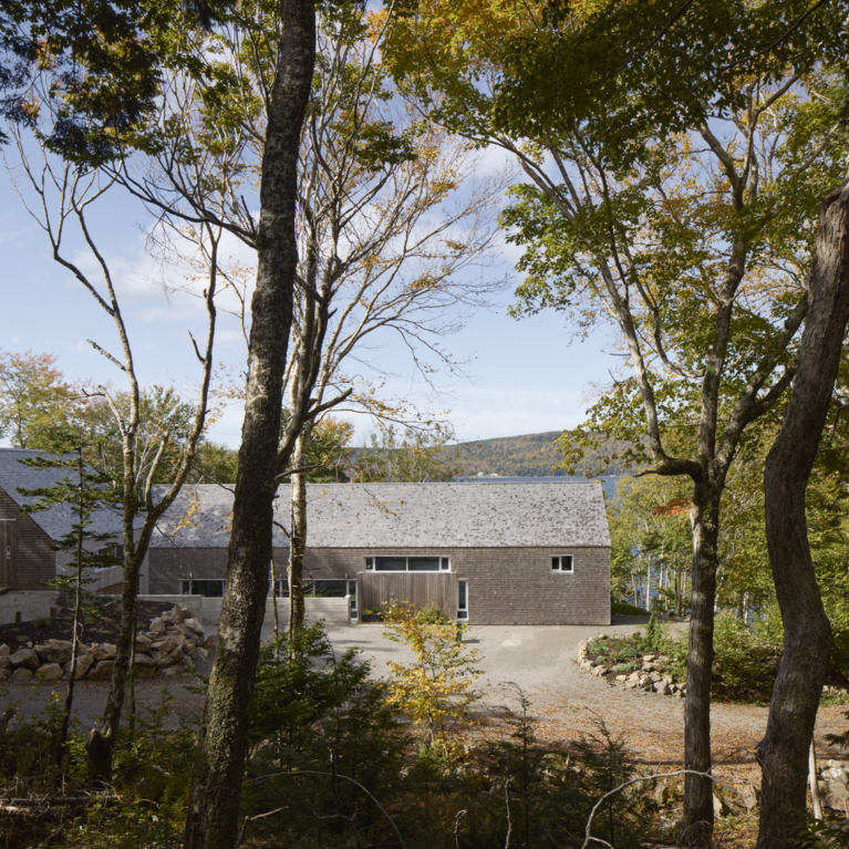 Bras D'or
