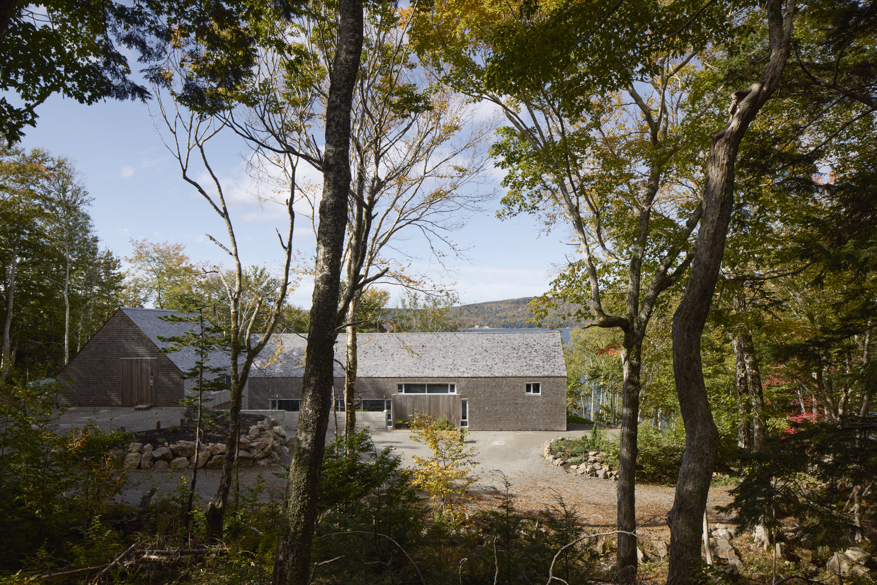 Bras D'or