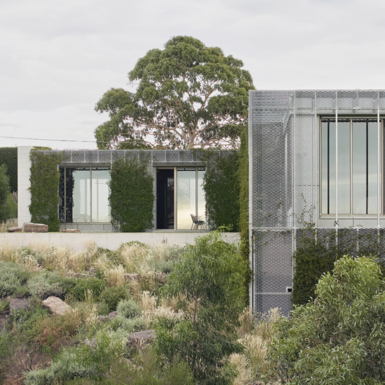 Hedge And Arbour House By Studio Bright The Local Project Image (31)