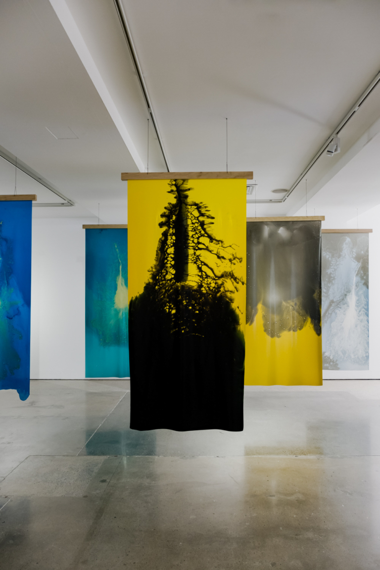 Profile Jessie French Of Other Matter Issue 19 Feature The Local Project Image (24)