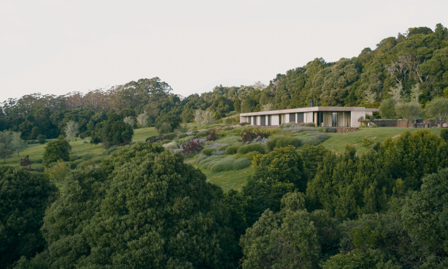 Paloma By Fearon Hay Issue 19 Feature The Local Project Image (21)