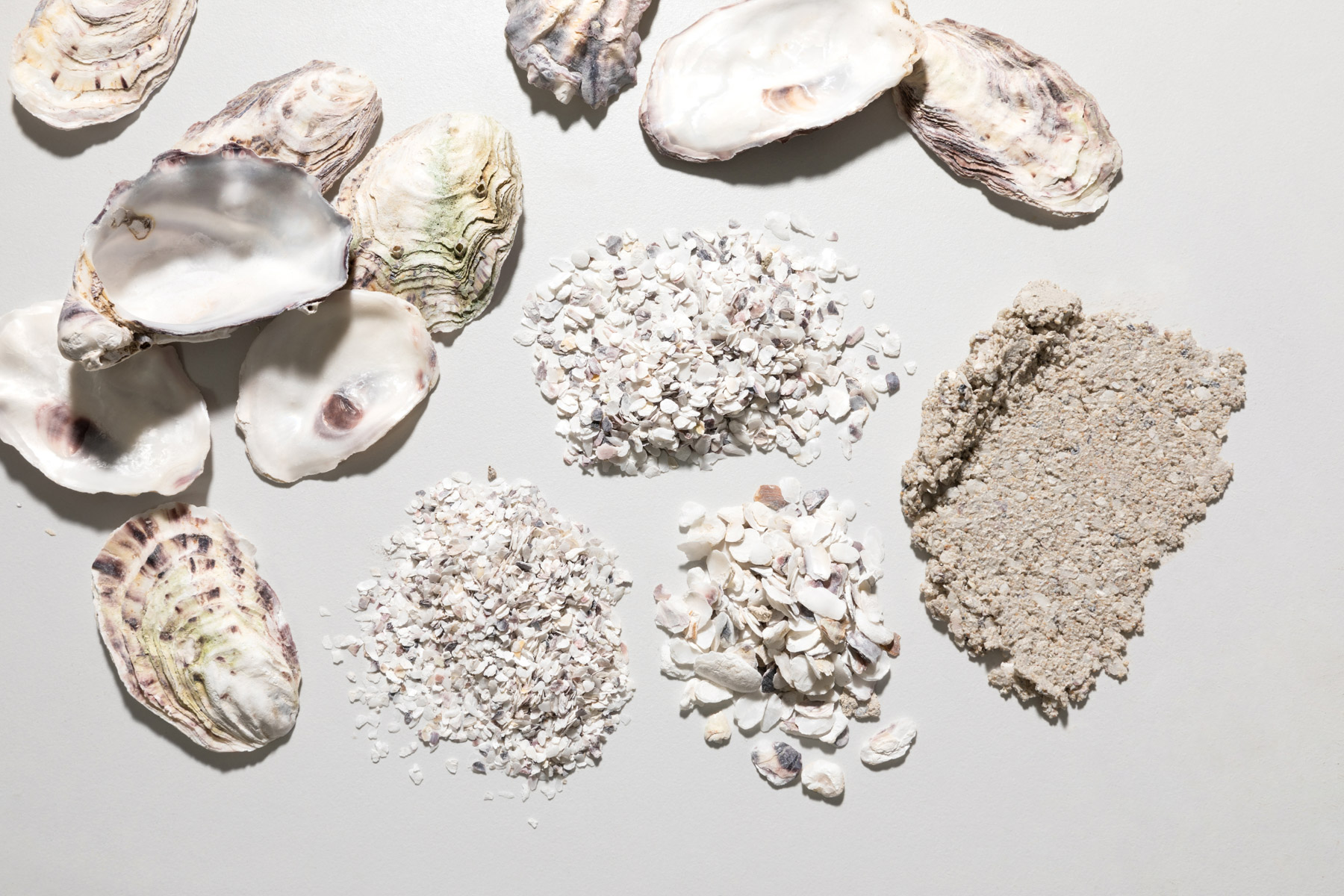 Mineral Fox Launches World First Circular Sea Collection Issue 19 Feature The Local Project Image (3)