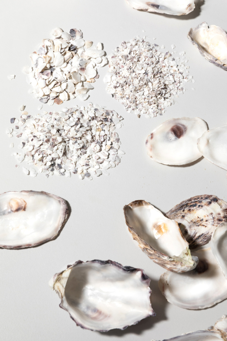 Mineral Fox Launches World First Circular Sea Collection Issue 19 Feature The Local Project Image (4)