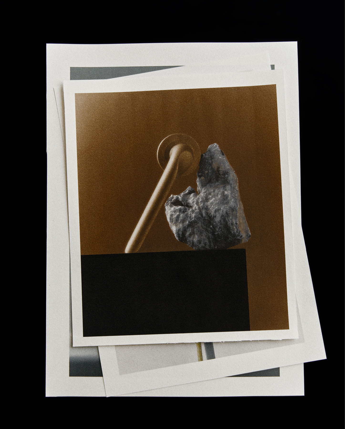 Pittella Celebrates 50 Years The Local Project Image (7)