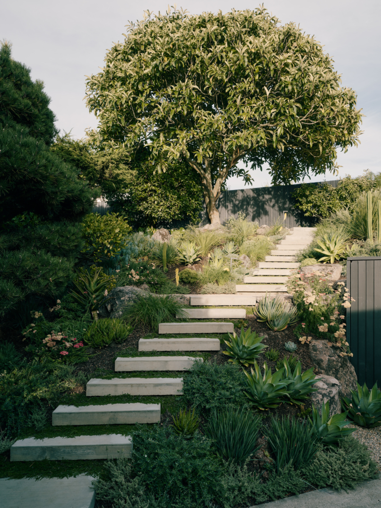 Creston House By Mork Ulnes Architects The Local Project Image (14)