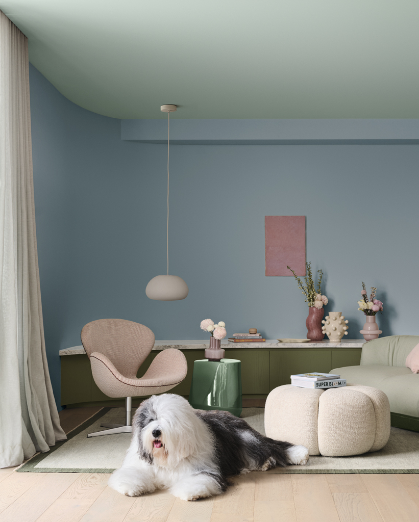 Dulux Forecasts Softness For Summer The Local Project Image (9)