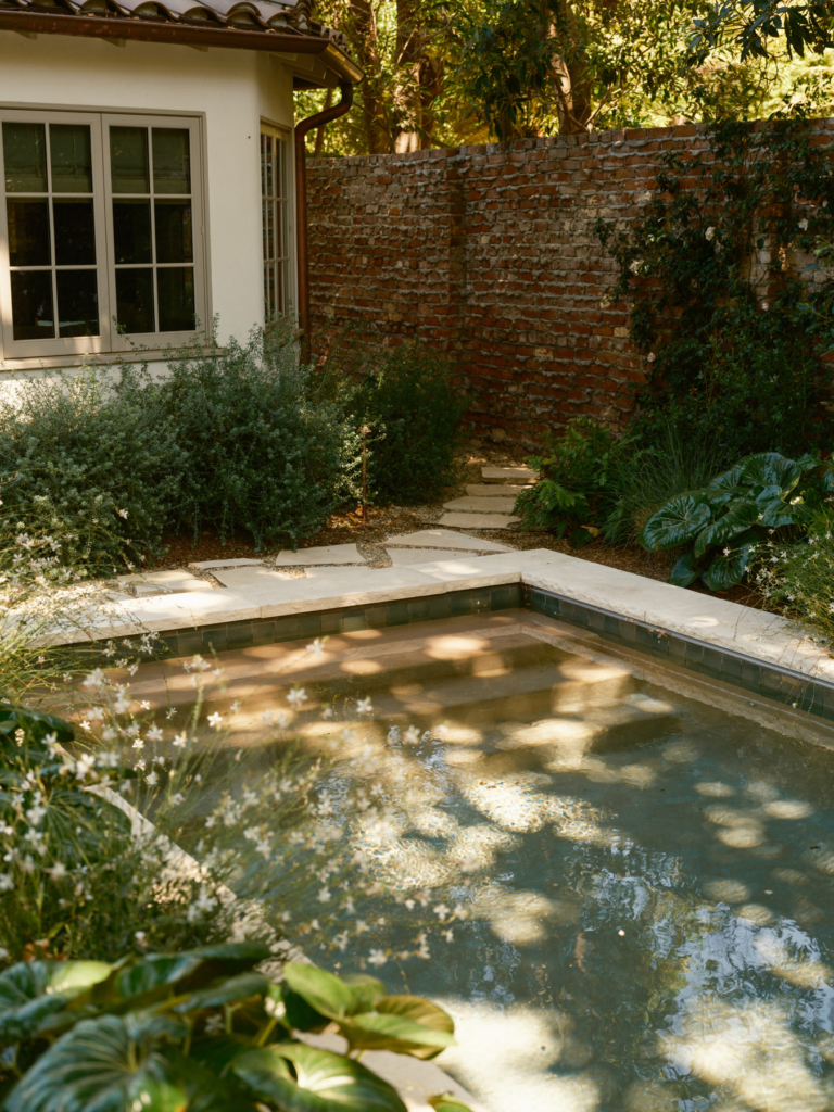 Orca In Focus Issue 19 Feature The Local Project Image (4)