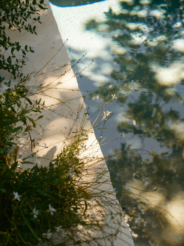 Orca In Focus Issue 19 Feature The Local Project Image (10)