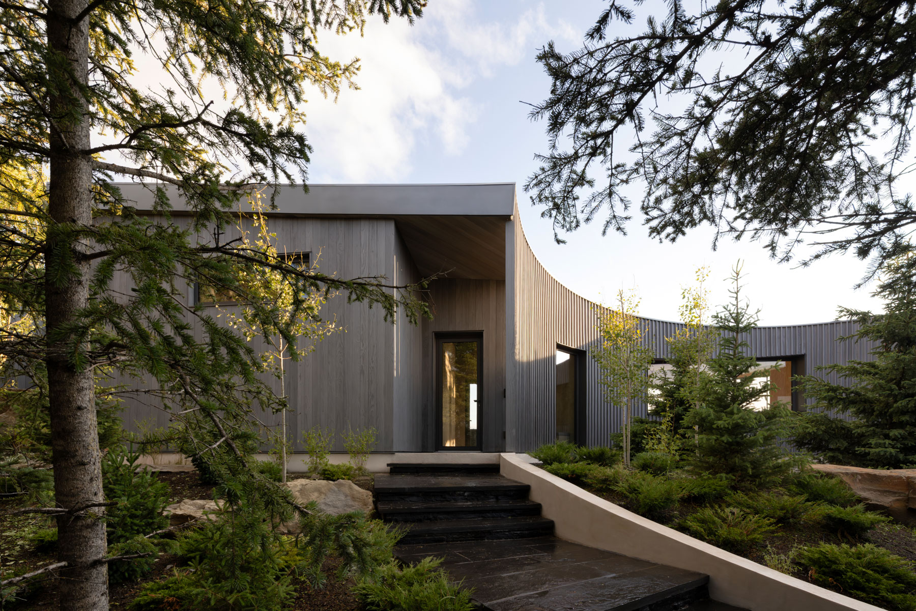 Cut Out House By Young Projects Issue 20 Feature The Local Project Image (1)