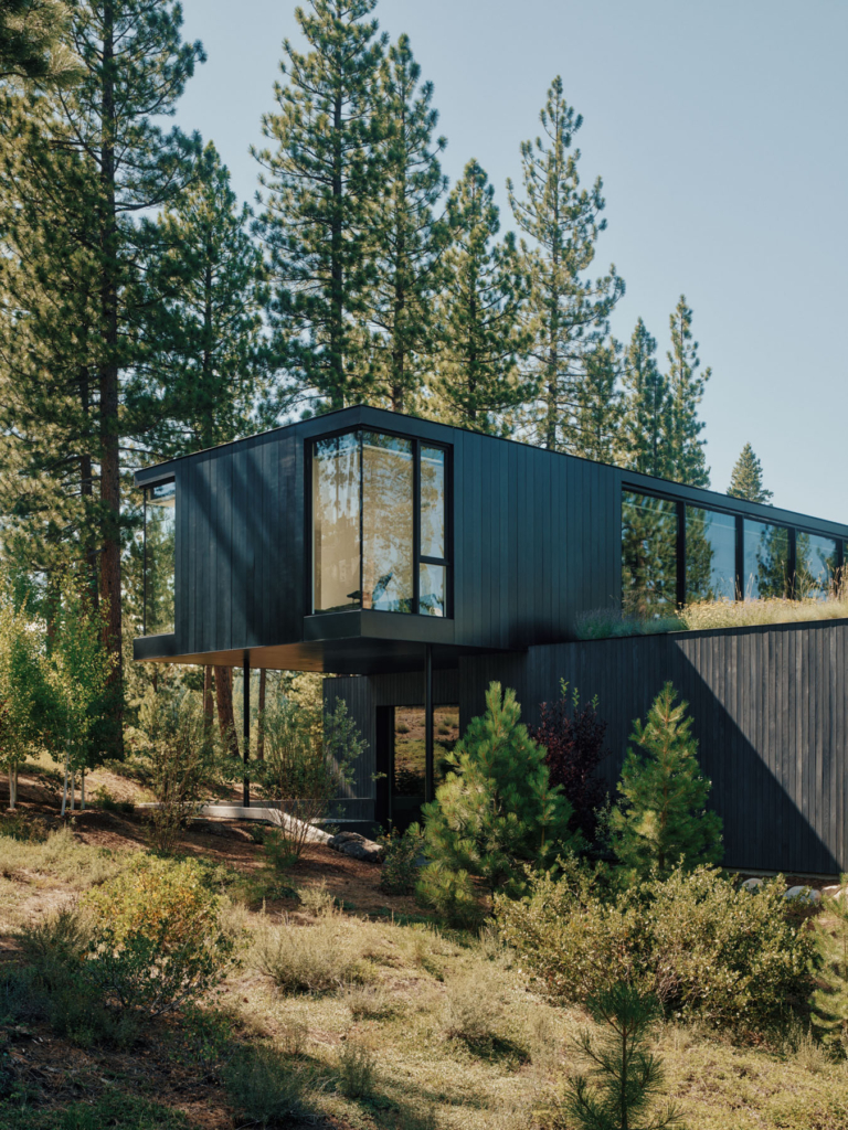 Martis Camp Residence By Dumican Mosey Architects Issue 20 Feature The Local Project Image (13)