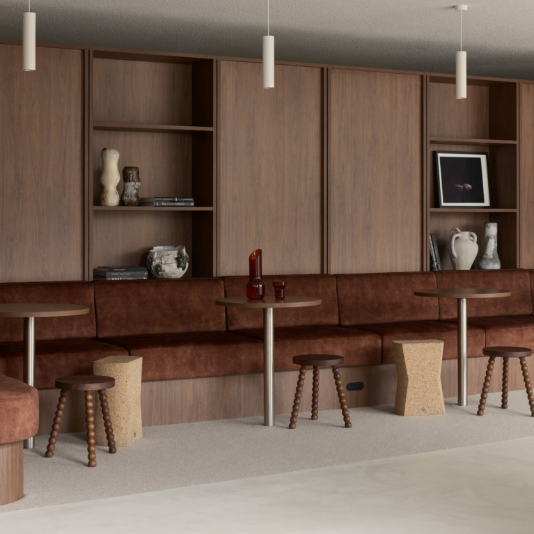 Bresicwhitney Inner West By Those Architects Issue 20 Feature The Local Project Image (2)