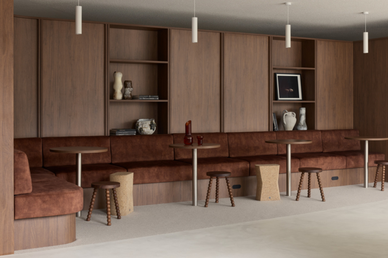 Bresicwhitney Inner West By Those Architects Issue 20 Feature The Local Project Image (2)
