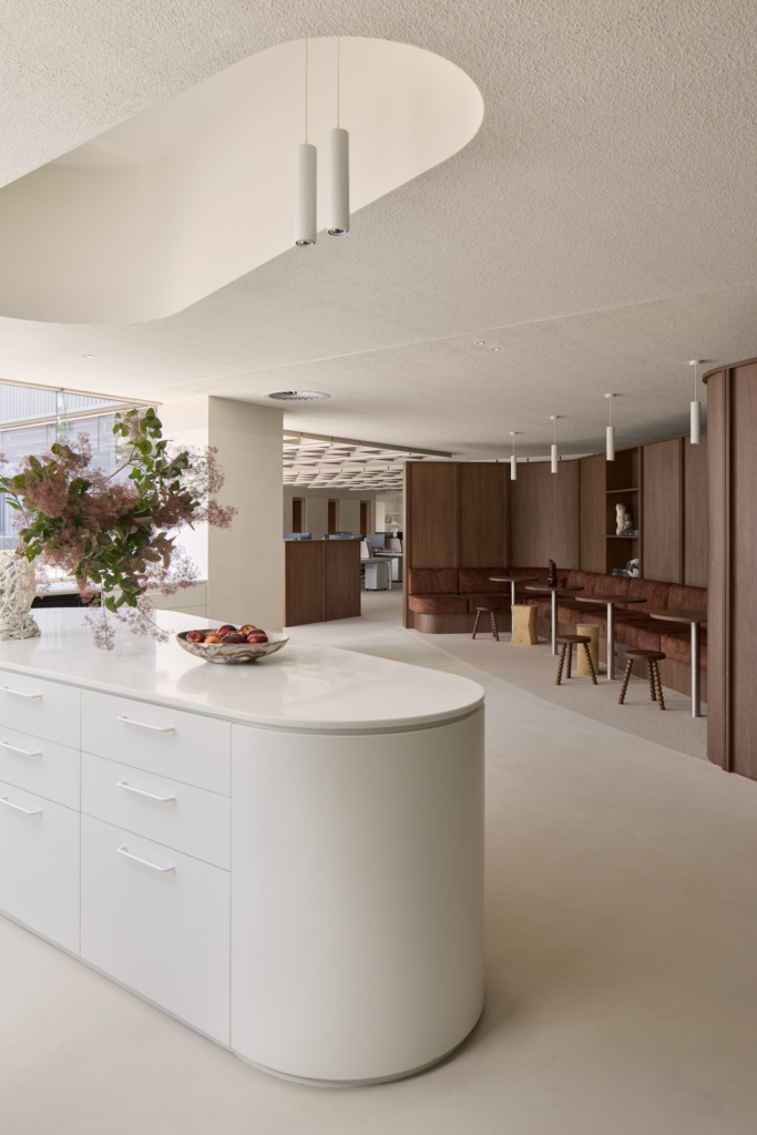 Bresicwhitney Inner West By Those Architects Issue 20 Feature The Local Project Image (4)
