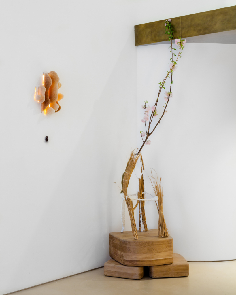 Profile Amélie Du Chalard Issue 20 Feature The Local Project Image (2)