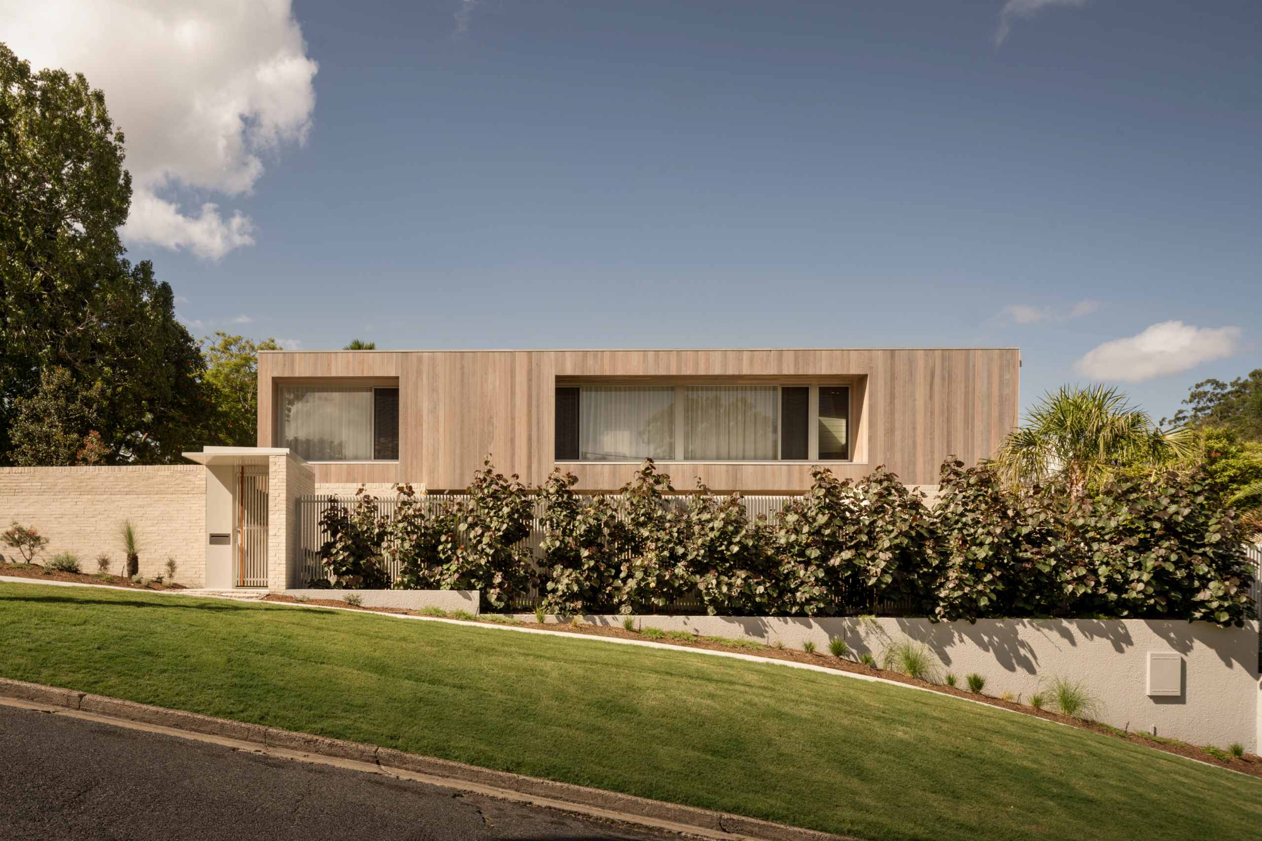 80 Coolibah Street Bardon Qld 4065 Image (27)