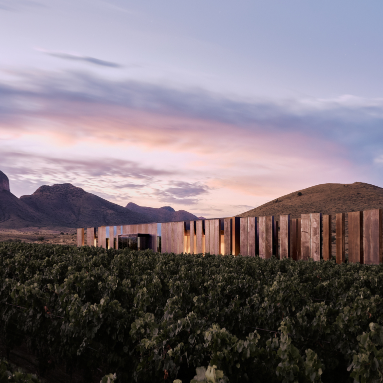 Los Milics Vineyards Tasting Room By Chen Suchart Studio Issue 20 Feature The Local Project Image (11)