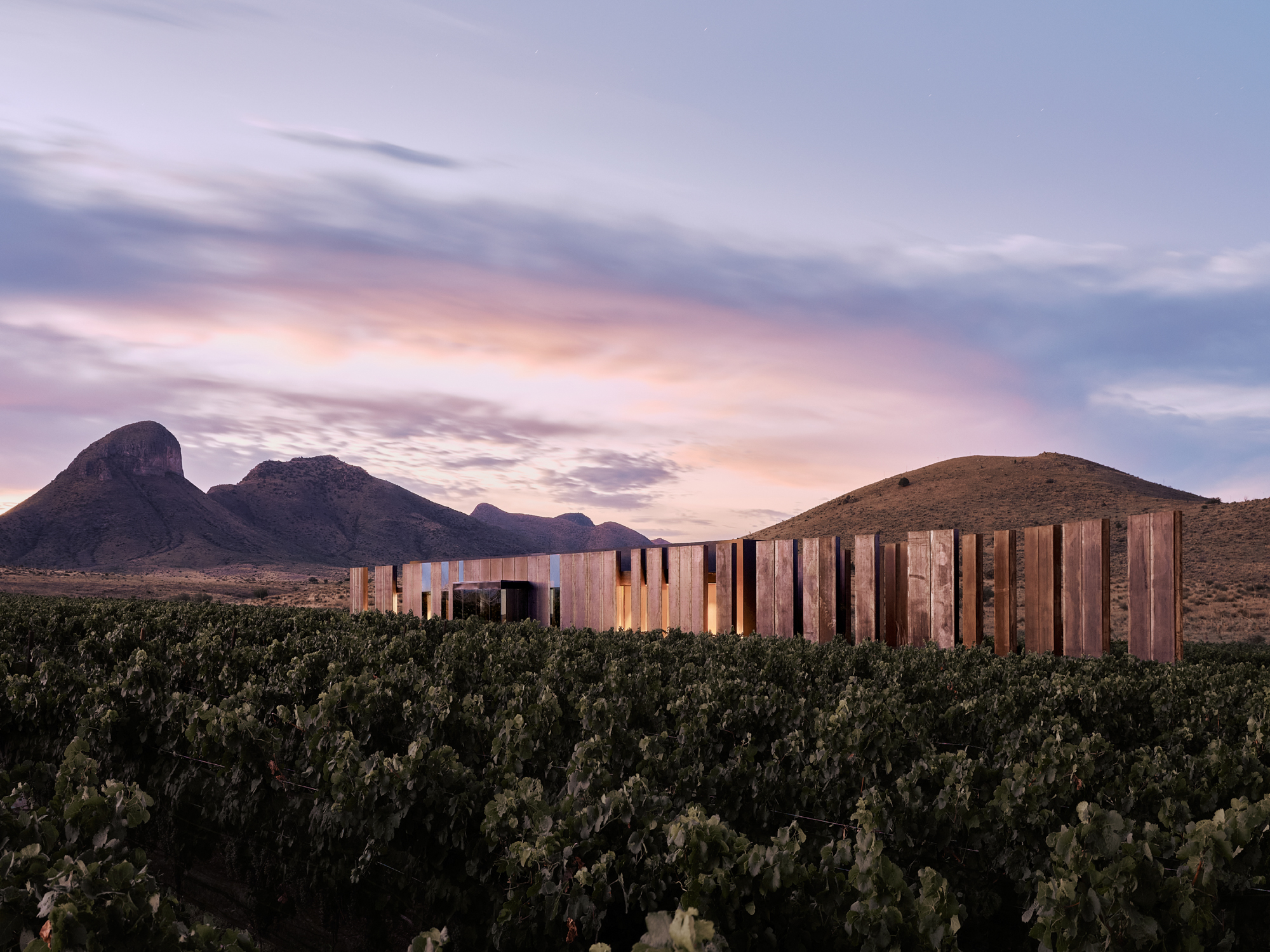 Los Milics Vineyards Tasting Room By Chen Suchart Studio Issue 20 Feature The Local Project Image (11)