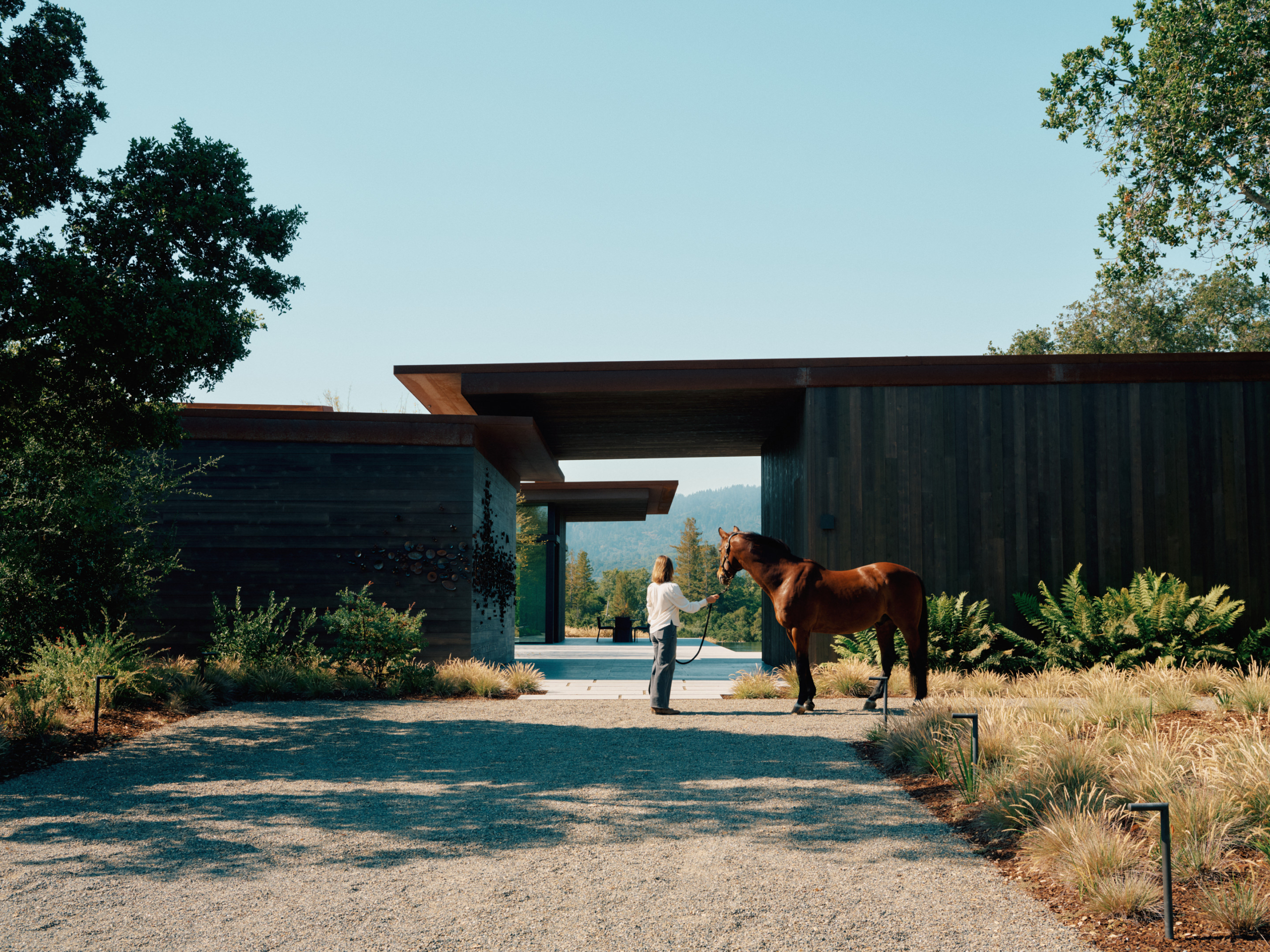 Windy Hill Lookout By Butler Armsden Architects The Local Project Image (1)