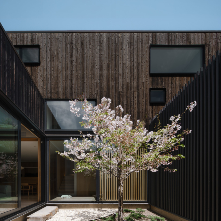 Cupertino Courtyard By Shed Architecture & Design The Local Project Image (7)