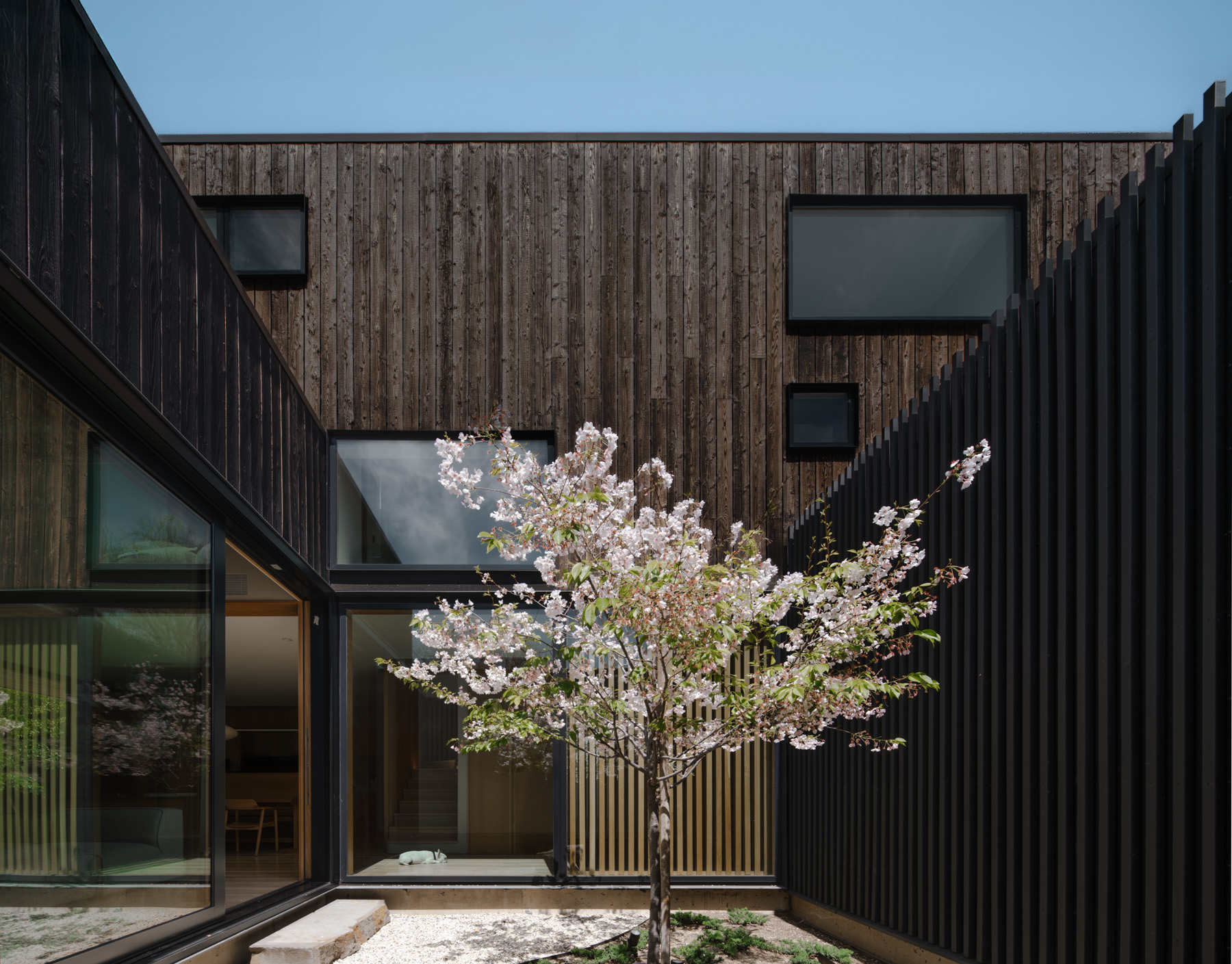 Cupertino Courtyard By Shed Architecture & Design The Local Project Image (7)