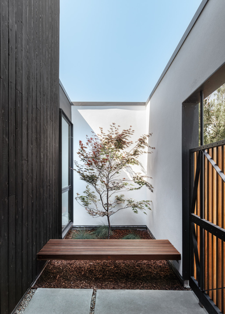 Cupertino Courtyard By Shed Architecture & Design The Local Project Image (9)