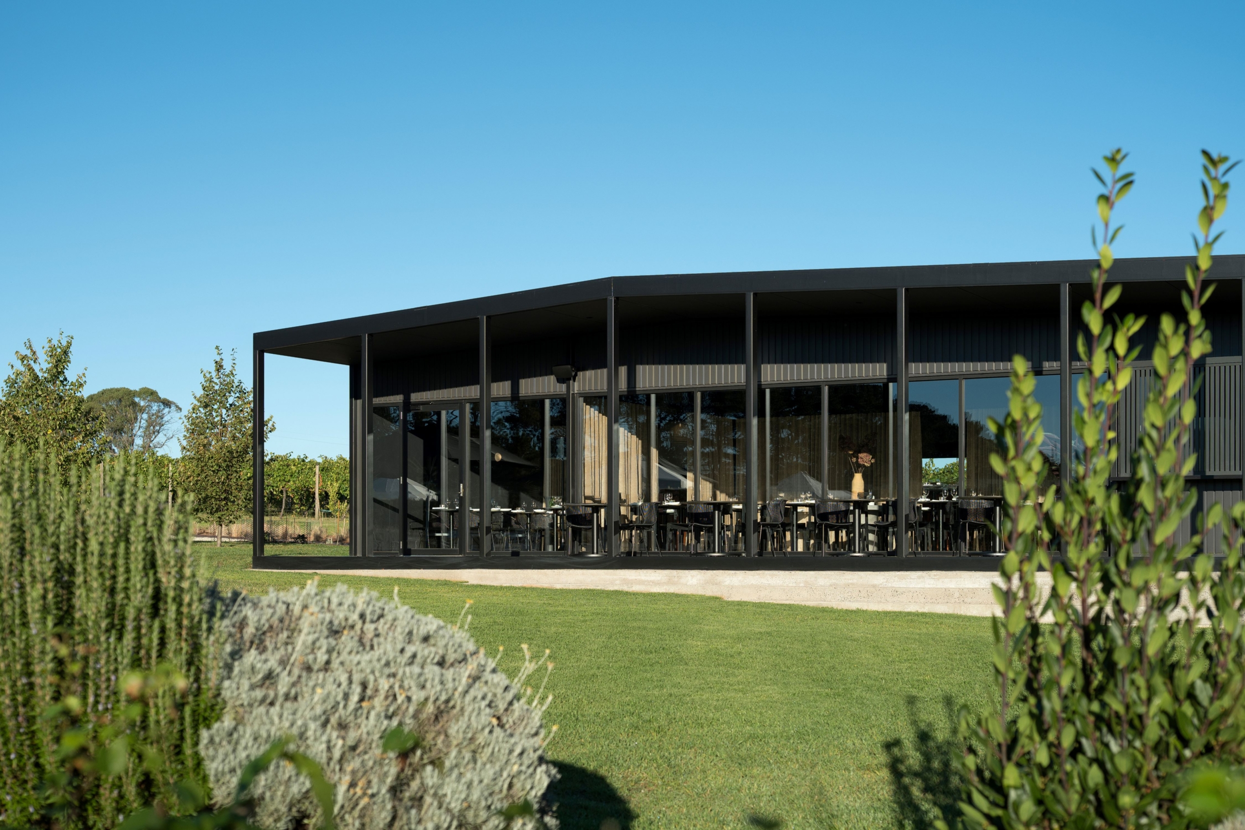 Rowlee Wines By Benn + Penna Architects The Local Project Image (1)
