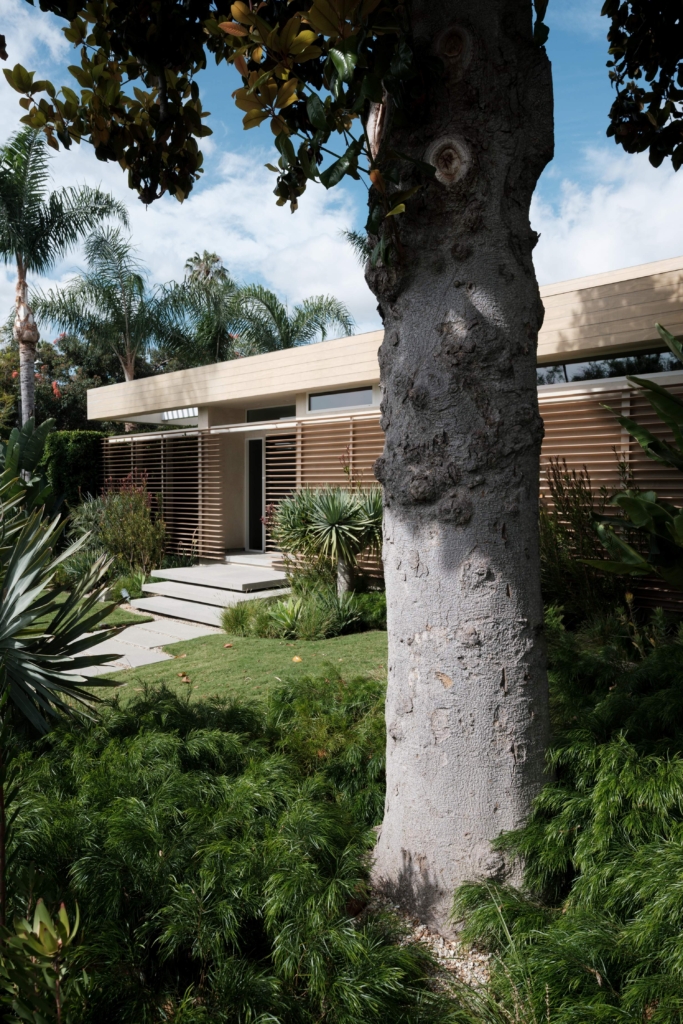 Anawalt House By Walker Workshop The Local Project Image (3)