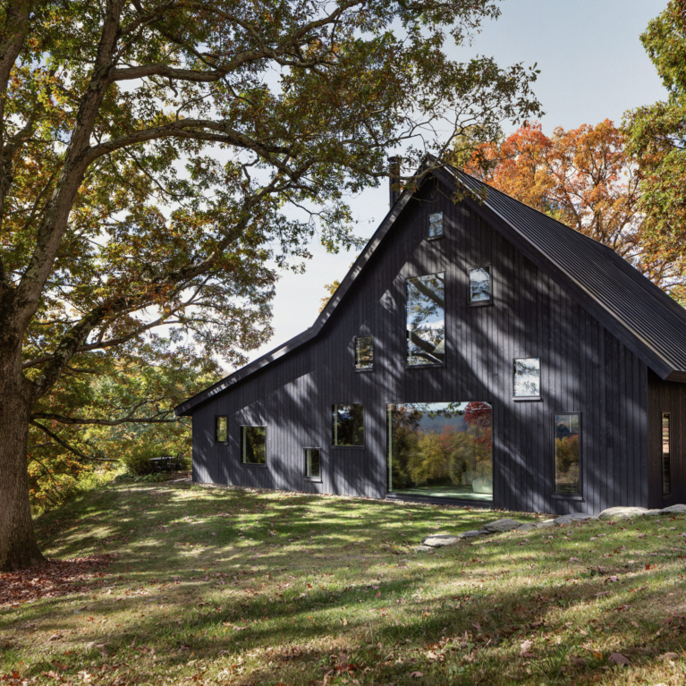 The Tiger House By Estudio Esmero The Local Project Image (1)