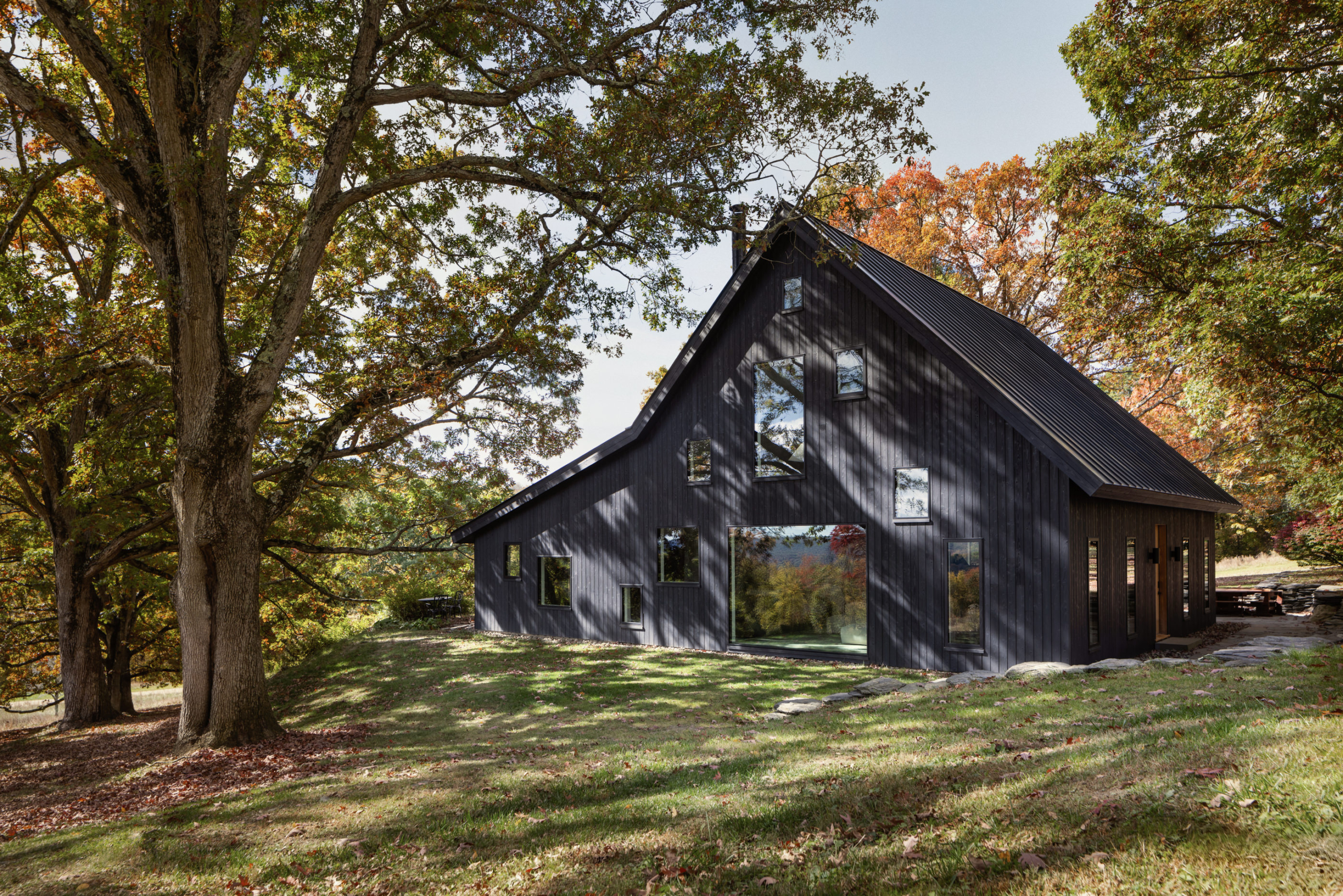 The Tiger House By Estudio Esmero The Local Project Image (1)