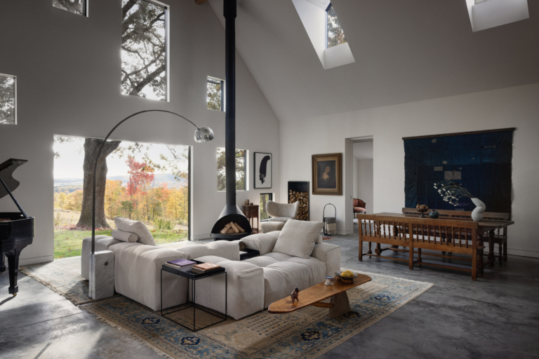 The Tiger House By Estudio Esmero The Local Project Image (3)