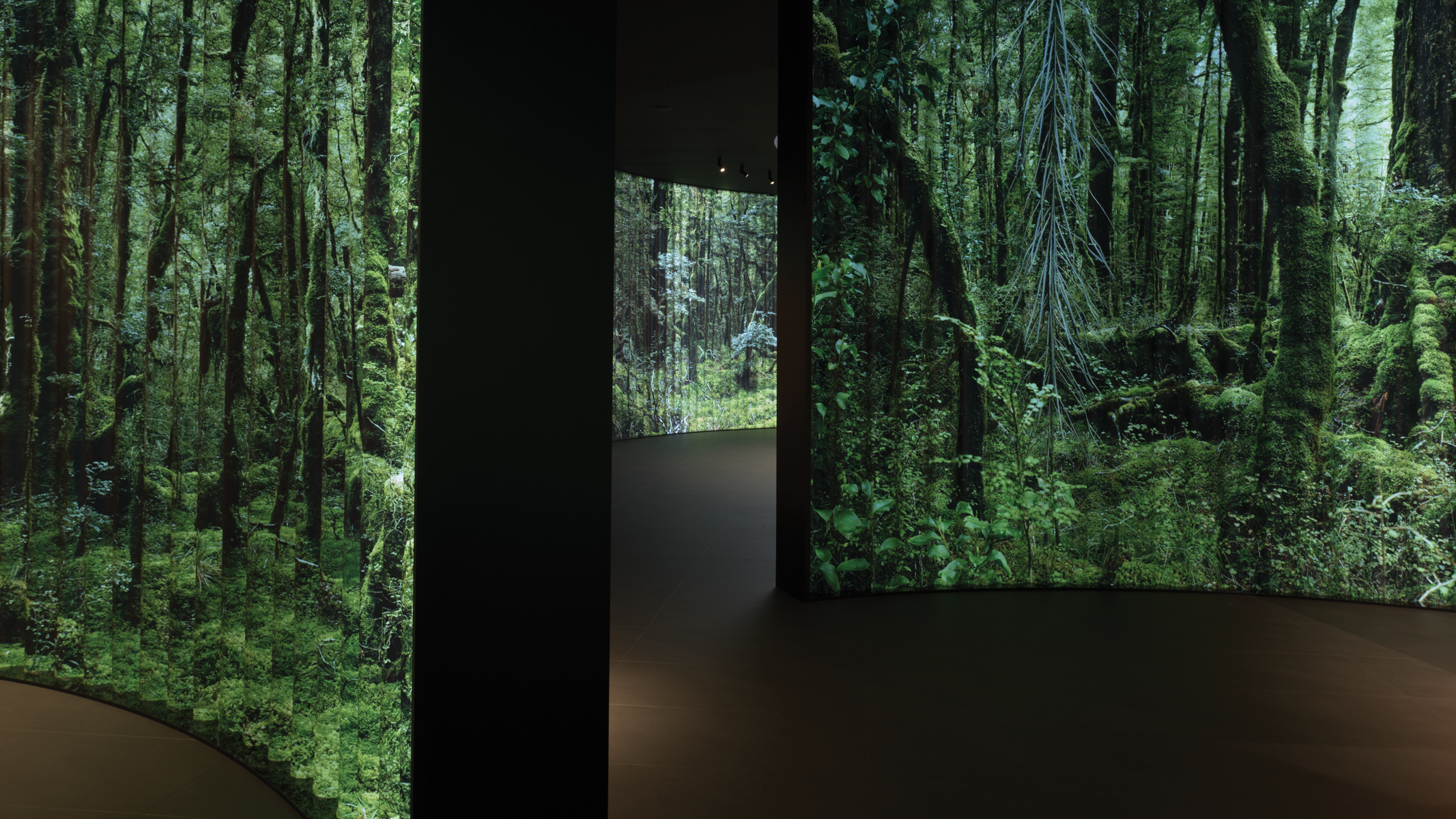Fp Media Milan Design Week 2026 Eurocucina 06 Forest 16x9 4000px Webres