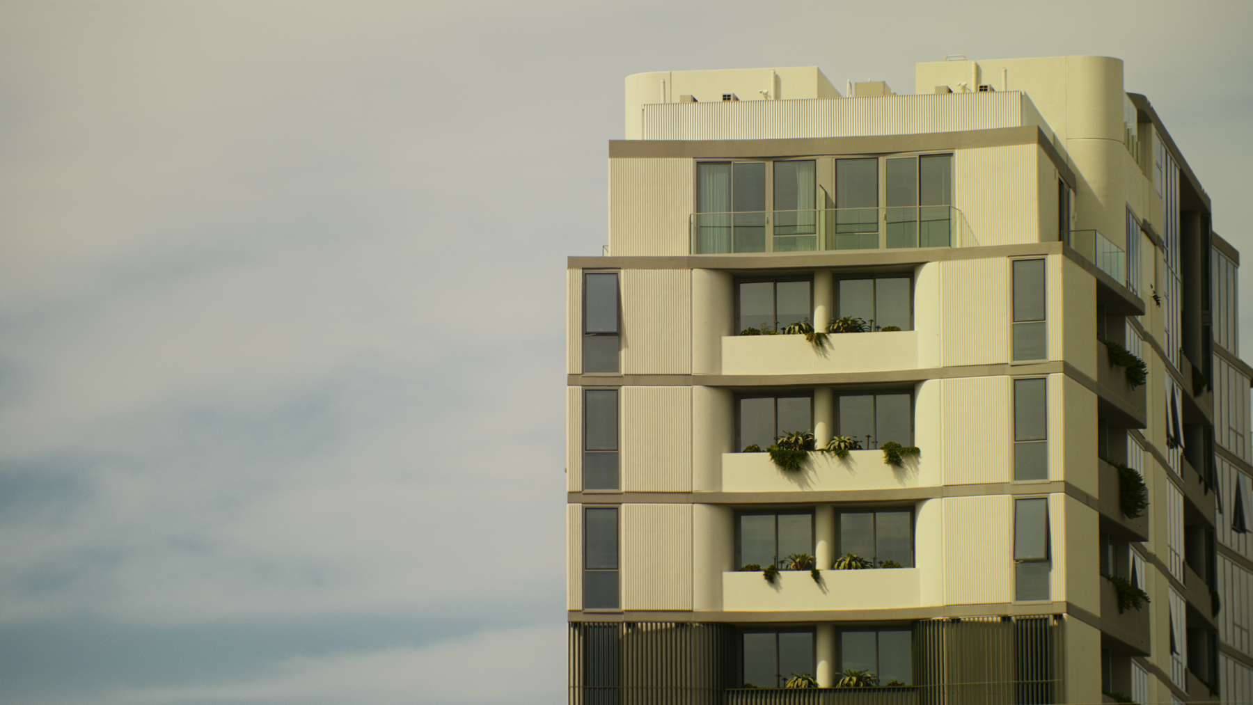 Pipis By Siera Group And Ellivo The Local Project Image (1)