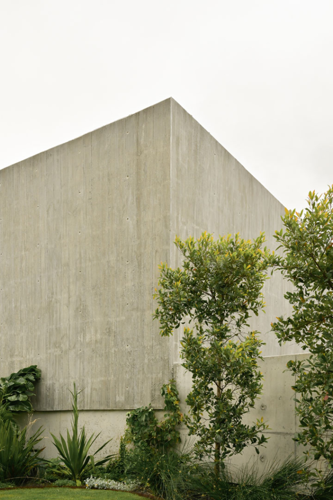 Treetop By Studio Kennon The Local Project Image (48)
