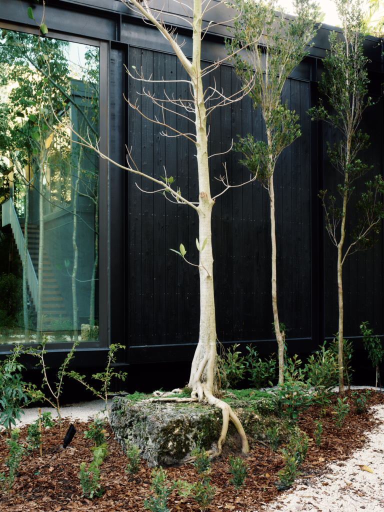 Morningside Residence By Brillhart Architecture The Local Project Image (30)