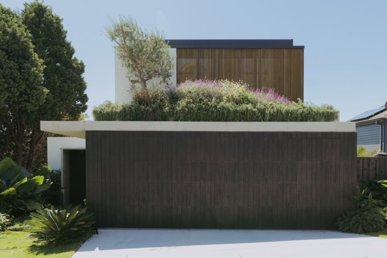 Little Birch By Bucksimple The Local Project Image 1