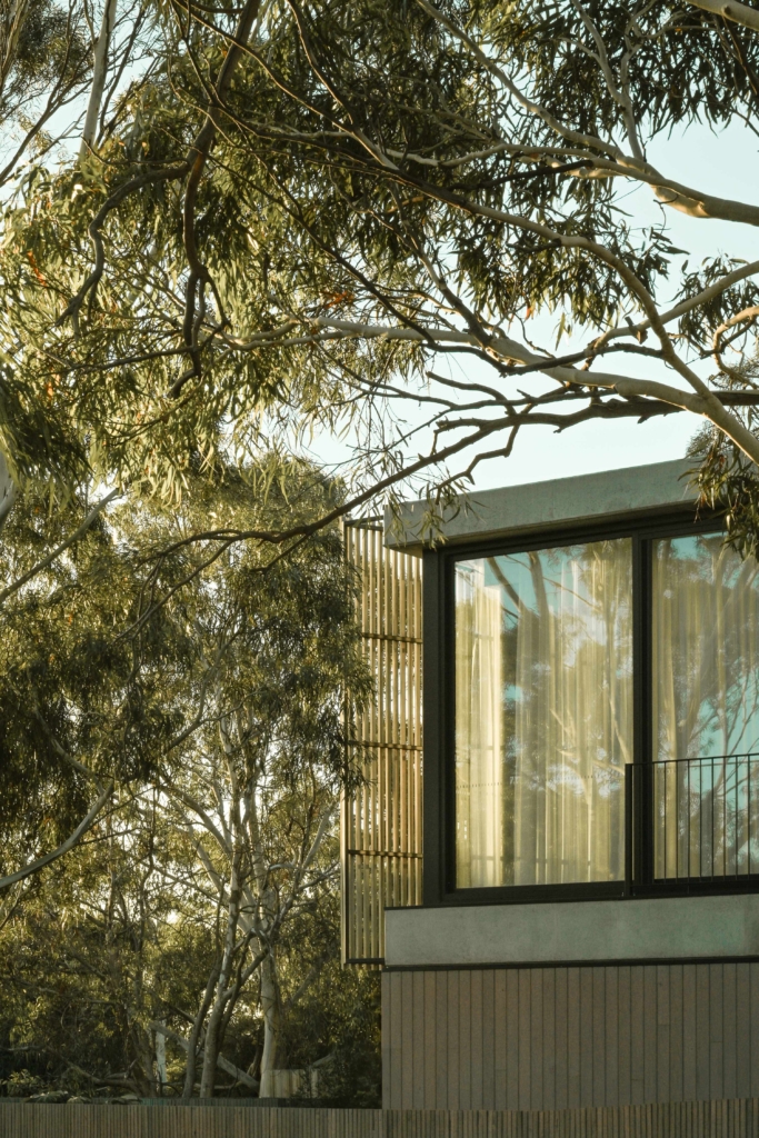 Treetop By Studio Kennon The Local Project Image (4)