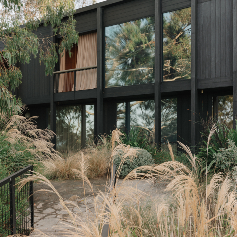 Somers House By Amanda Oliver Gardens Issue 21 Feature The Local Project Image (1)