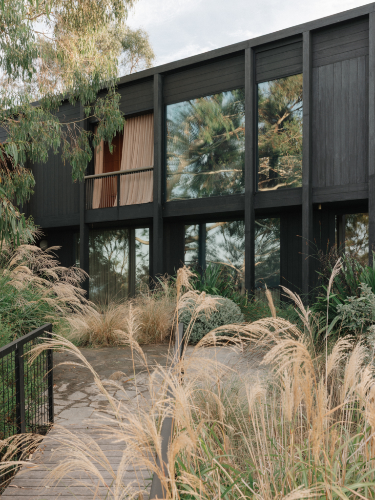 Somers House By Amanda Oliver Gardens Issue 21 Feature The Local Project Image (1)