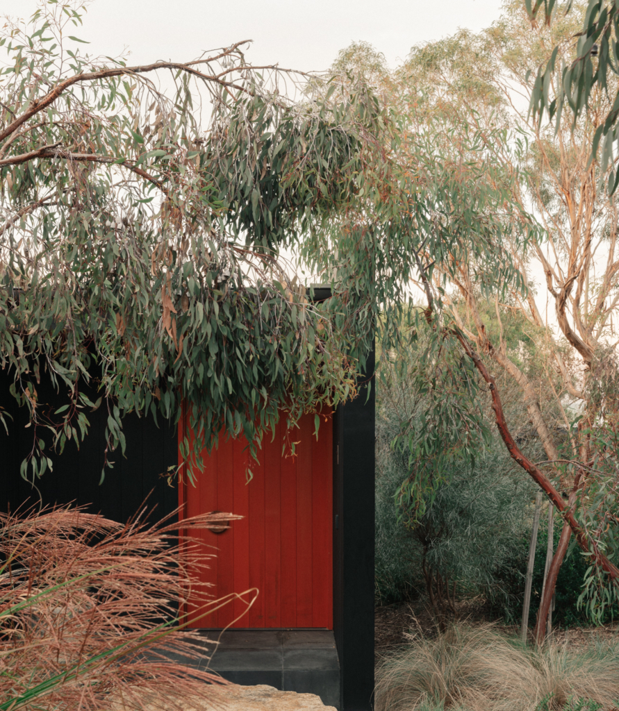 Somers House By Amanda Oliver Gardens Issue 21 Feature The Local Project Image (32)