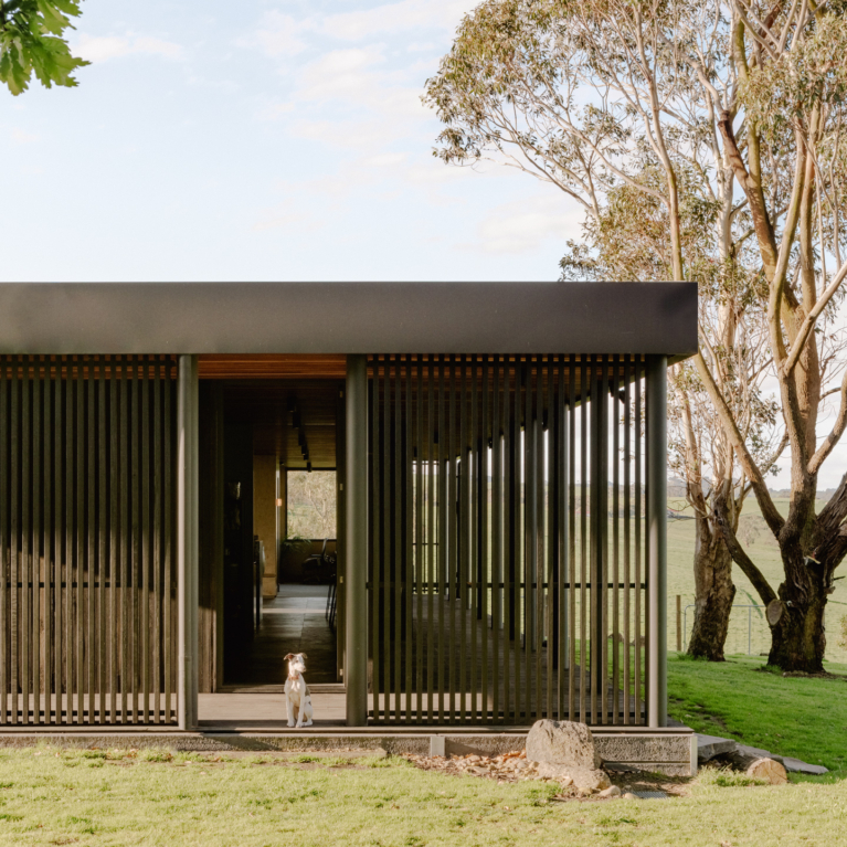 House On A Hill By Sans Arc Issue 21 Feature The Local Project Image (2)