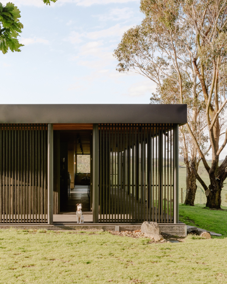 House On A Hill By Sans Arc Issue 21 Feature The Local Project Image (2)