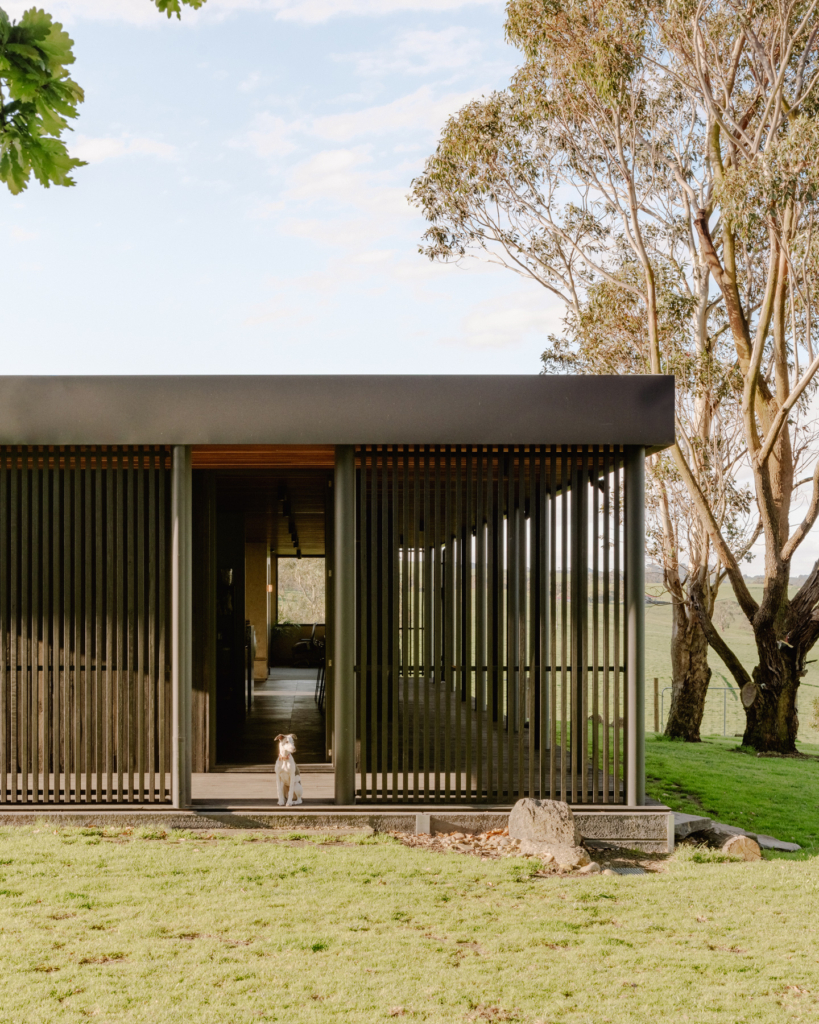 House On A Hill By Sans Arc Issue 21 Feature The Local Project Image (2)