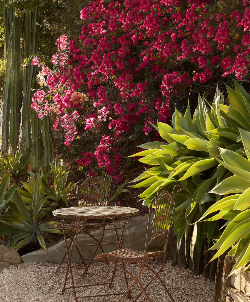 Beachwood Canyon By Jaya Williams The Local Project Image (19)