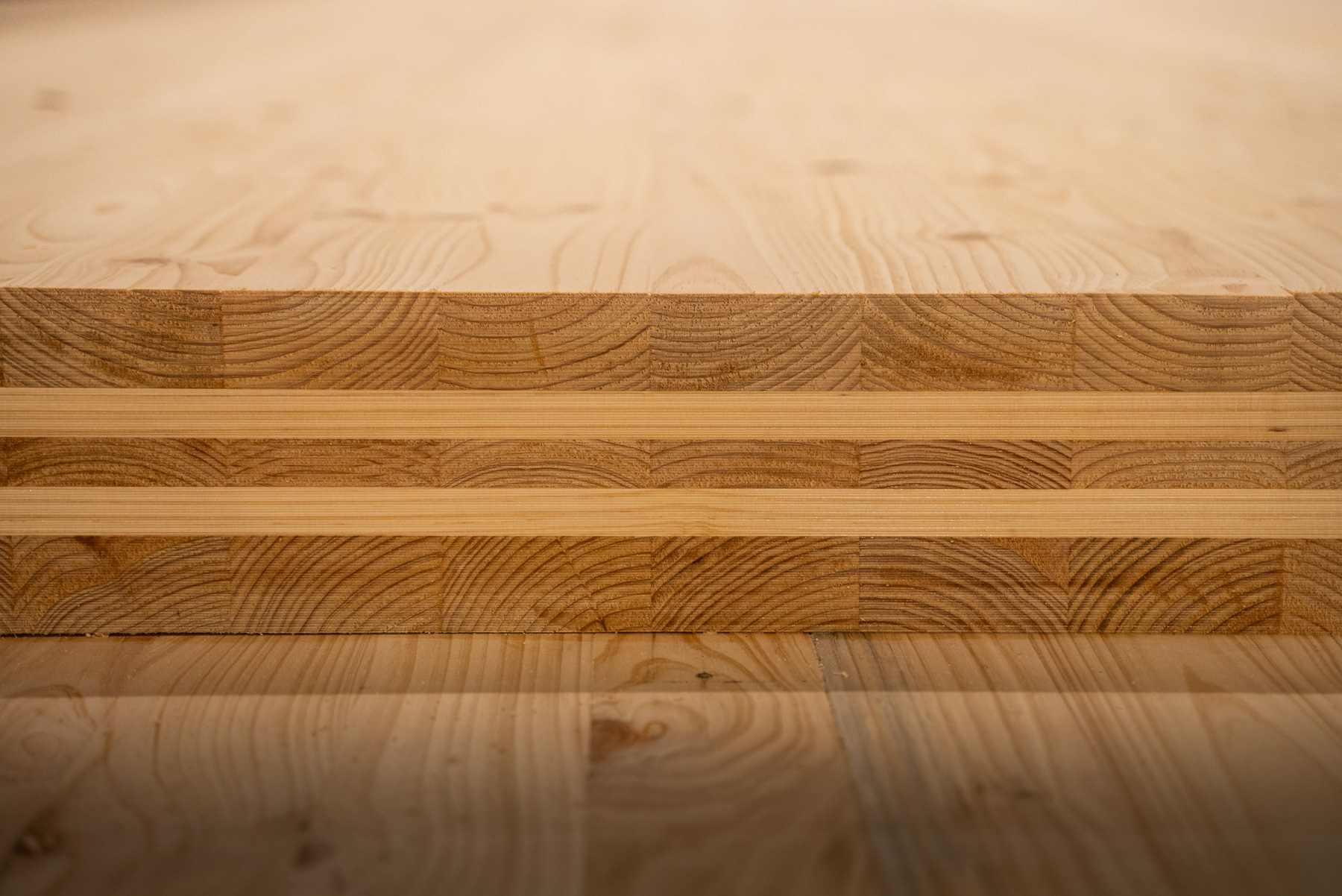Nextimber By Timberlink Shapes A New Era Of Australian Mass Timber Architecture Image (1)